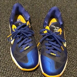 LeBron 9 Low “Entourage”